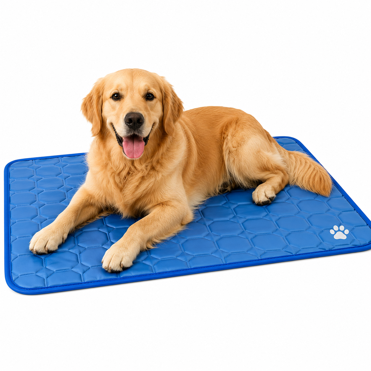 Cooling Pet Mat